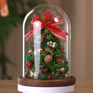 【Local Seller】Classic Christmas Tree Collection Table Decor Mini Preserved Christmas Tree Xmas Home Room Decor Gifts