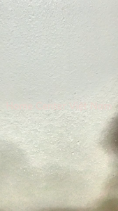 Van cấp nước bồn cầu WS-08