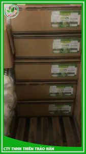 Siêu CanXiBo chông nứt thối. Chai 500ml