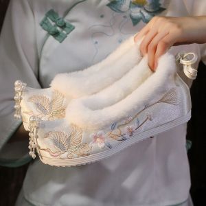 Autumn Winter Floral Embroidered Fleece Lined Hanfu Shoes Womens Matched Horse Tail Skirt Heightening Traditional Costume Warm Cotton Shoes