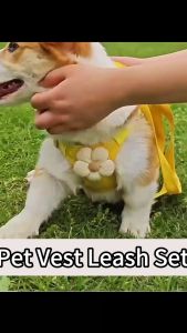 Dog Harness Dog Vest Leash set Cat Harness Adjustable Breathable Anti-Escape Design