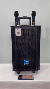 Loa kéo Bluetooth chính hãng AzproAZ-D1108Bass 25 mạch revert 12 núm chỉnhMic Set tần số