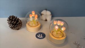 BNBs Corner | Đèn hoa tulip mini lồng cầu thủy tinh | Hoa đèn handmade