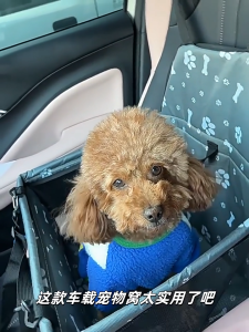 Teekland Pet Car Seat for Shih Tzu Breathable Foldable Basket High Quality Dogs Travel Carrier Safety Puppy Seat Waterproof and Washable Detachable for Pet Under 10kg