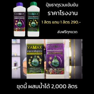 1 แถม 1 🌿 VAMAX + CABMAX ปุ๋ยธาตุอาหารรวมเข้มข้น เกษตรรุ่นใหม่ต้องมี!