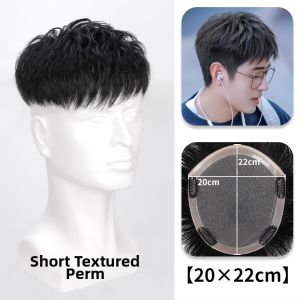 JIANGFASHIJIA | Mens Morgan Short Shaggy Korean Texture Wig
