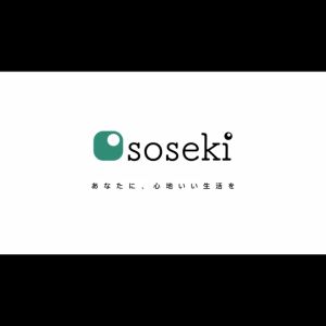 SOSEKI Blender Chopper Daging / 300W Blender Bumbu / FREE 3 Mangkuk Mini Chopper Mini / Coper Penggiling Daging
