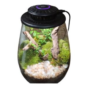 Full Spectrum UFO Growth Light Artificial Sun LED for Moss Plant Ecological Aquarium Supplemental Lighting Life Tree Lamp