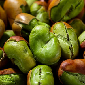 Roasted Greenheart Broad Beans Snacks