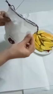 Màng Bọc Thực Phẩm túi bọc thức ăn Túi 100 cái siêu tiện lợi