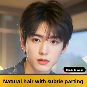 WEIWEI | Natural Full Human Hair Short Mens Wig