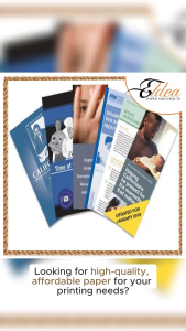 25pcs C2S Coated Roll 25x38 Inches for Magazines Posters Brochures Banners Visual Aids School Office Supplies
