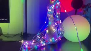 WS2812B Bluetooth LED String Lights USB 5V Dreamcolor RGBIC Addressable Party Christmas Lights Wedding Decoration Fairy Garland
