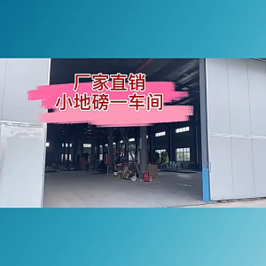 Industrial Digital Weighbridge Scale 3Ton Heavy Duty Animal Weighing Equipment 1x1M Platform