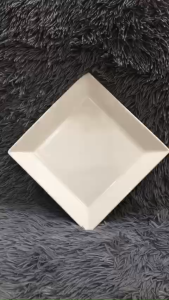 DĨA VUÔNG 22x2.5 CM - GỐM SỨ MINH LONG I - HÀNG VIỆT NAM CHẤT LƯỢNG CAO