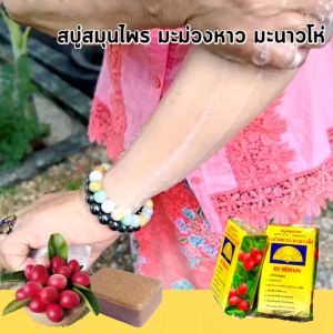 100 กรัม พัดทอง สบู่มะม่วงหาวมะนาวโห่ สบู่สมุนไพร - ขนาด: สมุนไพร