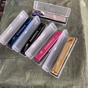 Professional 24 Hole Harmonica Mouth Metal Organ for Beginners with Case for Beginner Students Kids Gift with Case