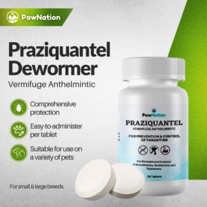 PawNation Praziquantel Dewormer Tablet for Dogs & Cats