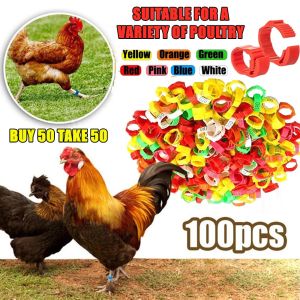 【BUY 50 TAKE 50】Chicken leg ring Adjustable Leg band Poultry feet tag for gamefowl rooster duck goose Farm accessories Chicken Leg Bands Numbered Poultry Leg Rings Adjustable Foot Ring Clip for Gamefowl Duck Cock Fighting Chicken Accessories