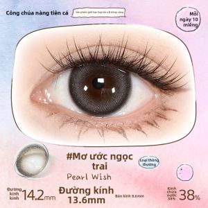 RENYUJI | Mắt Kính áp Tròng Mềm & Trong Suốt Dùng Một Lần Hàng Ngày 30 Cặp