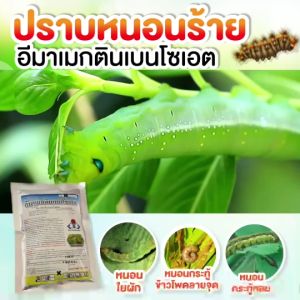 โปรสุกคุ้ม 10 ซอง สารกำจัดแมลง ไทอะมีทอกแซม25 + อีมาเมกตินเบนโซเอต 5% กำจัดหนอน เพลี้ย ของแท้ คุณภาพโรงงาน