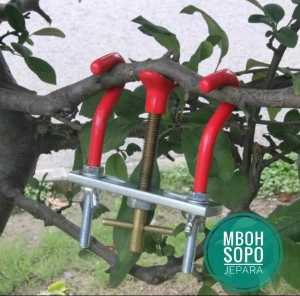 Alat Bonsai Alat Tekuk Batang / Cabang Branch Bender/Tracker Bonsai