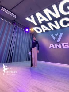 古典舞舞蹈服装女时尚镂空旗袍领长袖练功服修身显瘦形体服上衣Classical Dance Dance Costume Womens Fashion Hollow out Qipao Collar Long Sleeve Training Clothes Slim Body Apparel Top