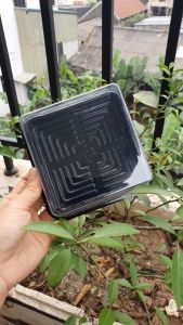 SET 50 Hộp Nhựa Vuông XY12-12 Đế Đen Đựng Bánh Trung Thu 250gr