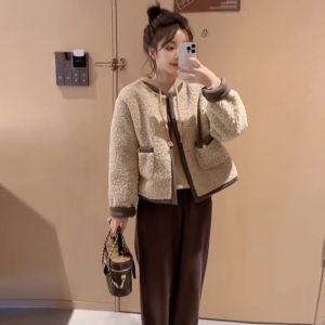 Imitation Lamb Fur Jacket Autumn Winter New Short Style Casual