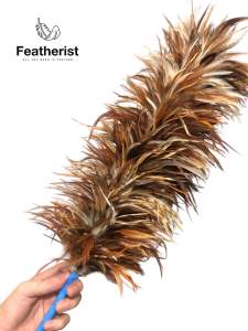 Medium Feather Duster | Pantay | Authentic Chicken Feathers