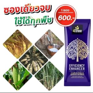 4Tree​ โฟร์​ทรี​ 1 ซอง เร่ง​ราก​ โต​เร็ว​ เขียว​นาน​ 1 ซอง​ใช้ได้​15-20​ไร่​ ของแท้​ โฟที 4t ปุ๋ยทางใบ ปุ๋ย