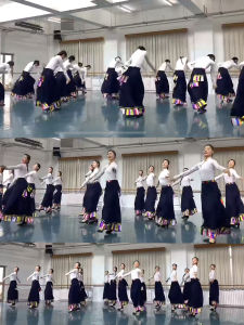 National University Tibetan Dance Costume Practice Training Skirt A-Line Mini Skirt National Dance Art Exam Tibetan Style