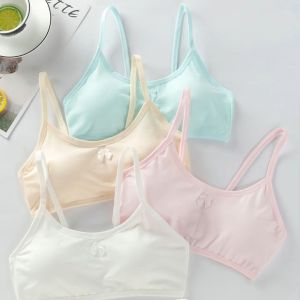 พร้อมส่งชุดชั้นในเด็กผู้หญิงระยะเวลาการพัฒนาเสื้อกั๊กสลิงผ้าฝ้ายชุดชั้นในเด็กคละสี3ตัว