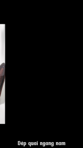 Dép quai ngang nam(39-43)