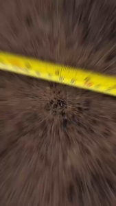 BUY11 GET1 FREE - ORGANIC FERN BLOCK (10in X 6in x 1in) - Good for Trailing and Hanging plants like Orchids and Vines.