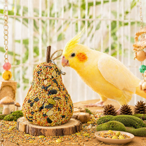 Yee | Nutritious Parrot Beak Grinding Toy