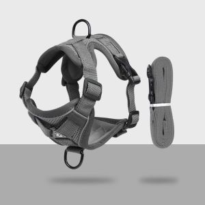 Petone dOrage | Breathable Adjustable Chest Harness for Small Dogs