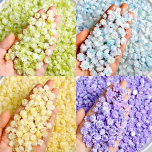 30 Chiếc Trang Trí Móng Tay Nhựa Nhựa Cao Cấp Lấp Lánh Hoa Hướng Dương Hoa Mẫu Đơn 3D Phát Sáng Mộng Mơ Nhiều Màu Sắc Dùng Trang Trí Móng Tay Tự Làm