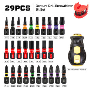 Geinxurn 29/30PCS 1" Screwdriver Bit Set with Ratcheting Screwdriver PH PZ SL Gear-Style Storage Case