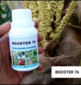 Booster 76 Kemasan Pabrik 500ml Pupuk Organik Untuk Pelebat Penyubur Tanaman Buah Dan Sayur