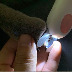 Pet Nail Clipper With Led Light Dog Cat Rabbit Cutter Kit Clippers LED Prevent Hurt