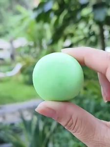 10pcs Strong Mouse repellent Pill for home rat killer safe and non-toxic