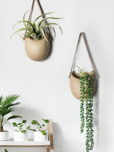 JOTO | Wall Hanging Planter Air Plant Compatible