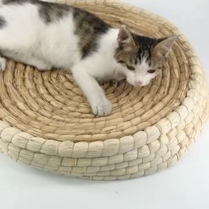 ชุดของ ที่นอนน้องแมว ที่ฝนเล็บ ลับเล็บ ทำจากฟางข้าวโพดวัสดุจากธรรมชาติ ปลอดภัย