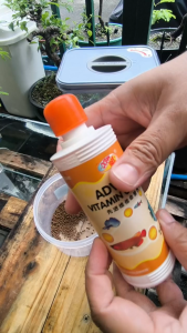 OCEAN FREE ADVANCE VITAMIN COMPLEX FOR ORNAMENTAL FISH GOLDFISH AROWANA DISCUS ETC