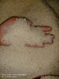 beras putih ASLI TANI  per / 1 liter beras pulen beras super berkualitas beras enak