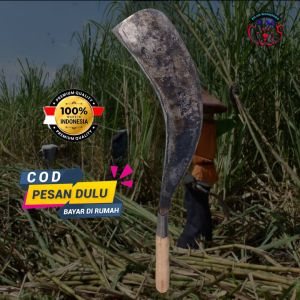 Am19 sabit deres tebang tebu baja isen sap 3 lapis wonosobo