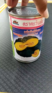 ตะวันต้นกล้า ฟักทอง ทองพูน ขนาด 50 กรัม หมดอายุ 08/2569 งอกดี ผิวคางคก พูใหญ่ เนื้อแน่น สีเหลืองสด รสหวาน ติดผลดก โตเร็ว อายุเก็บเกี่ยว 75-80 วัน