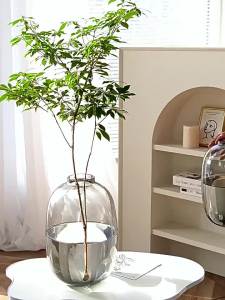 Luxury Zen Glass Vase