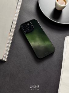 New Chinese Style Slip Resistant Glass Phone Case Frost Dye Snail Green Shell Language Hall Compatible with  16 pro Max